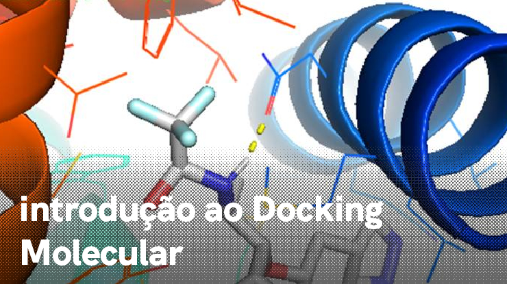 Docking molecular: uma introdução prática